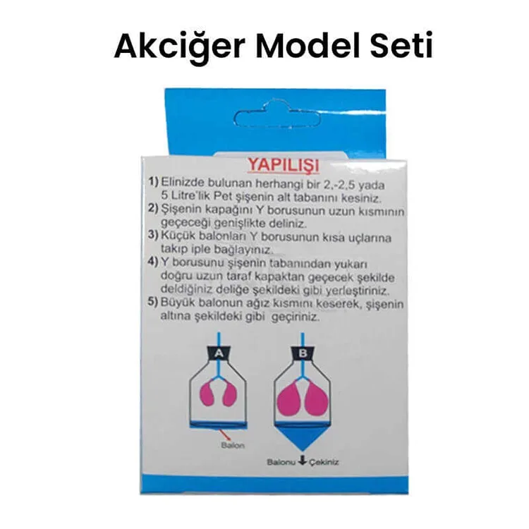 KAR AKCİĞER MODEL SETİ