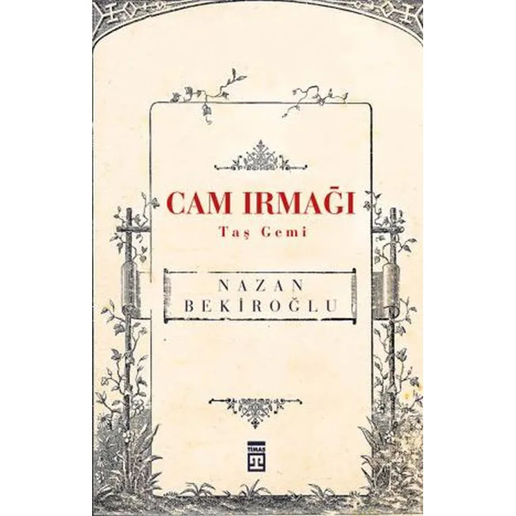 CAM IRMAĞI TAŞ GEMİ