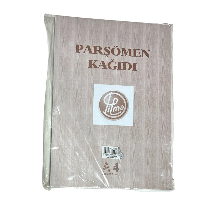 DİLMAN 9002 PARŞÖMEN KAĞIDI A4 175'Lİ ÇİZGİLİ