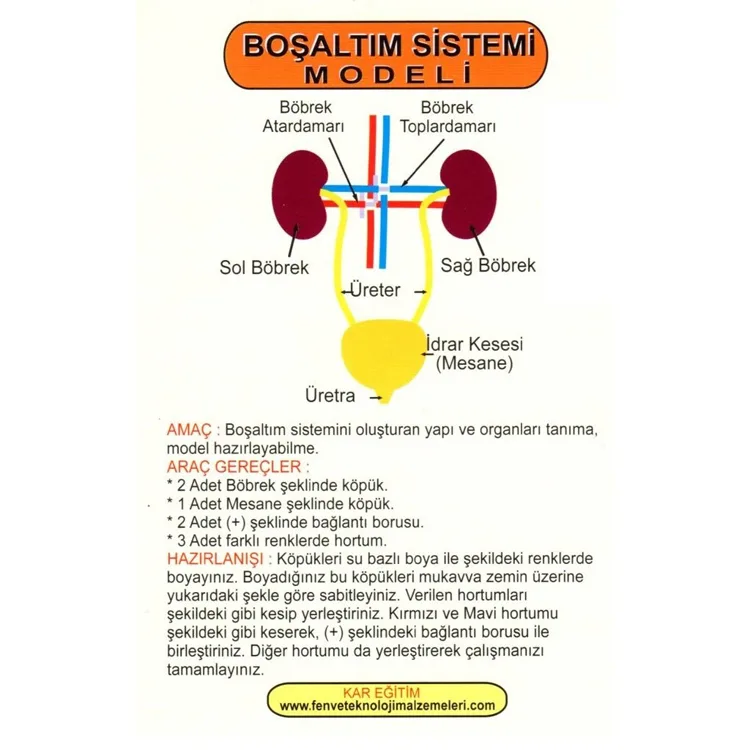 KAR BOŞALTIM SİSTEMİ MODELİ