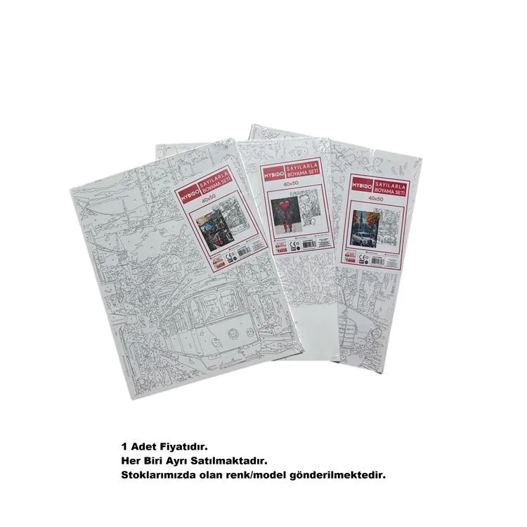 MYDİDO MYT4050SB 40X50CM SAYILARLA BOYAMA TUVAL SETİ - TEKLİ