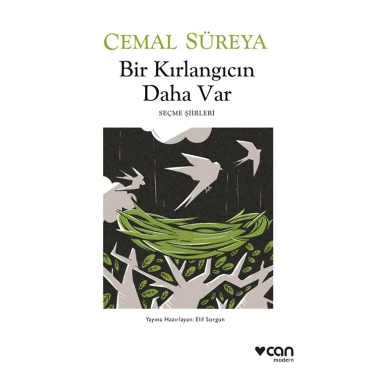 BİR KIRLANGICIN DAHA VAR