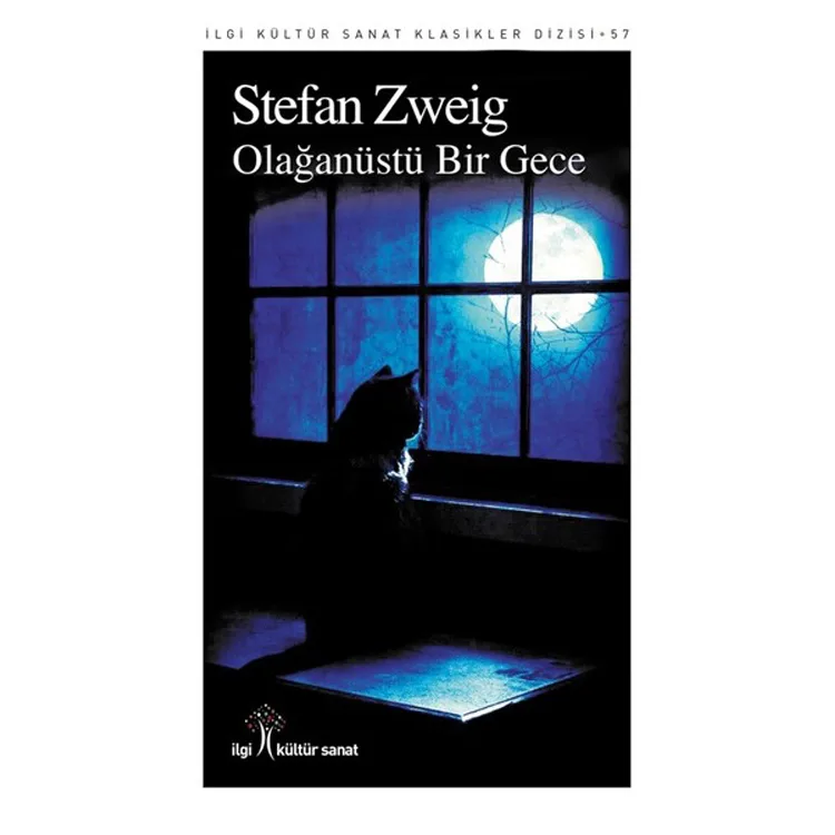 OLAĞANÜSTÜ BİR GECE