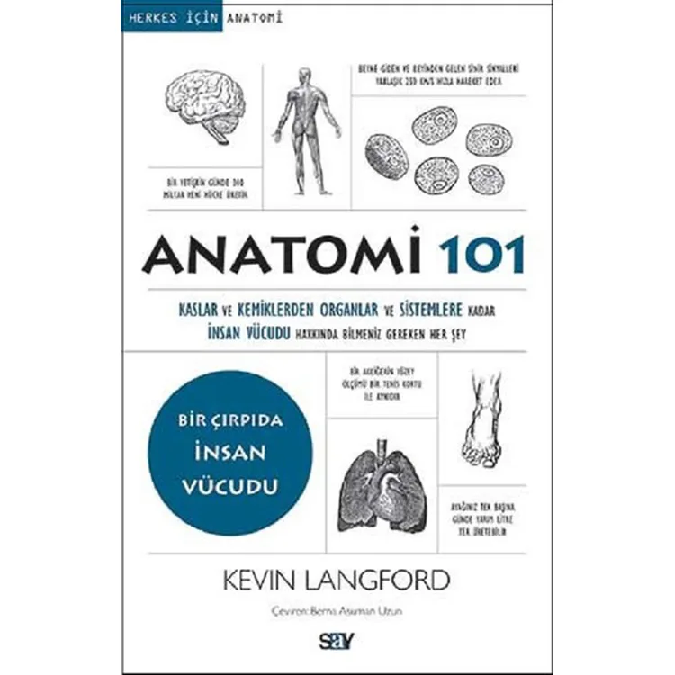 ANATOMİ