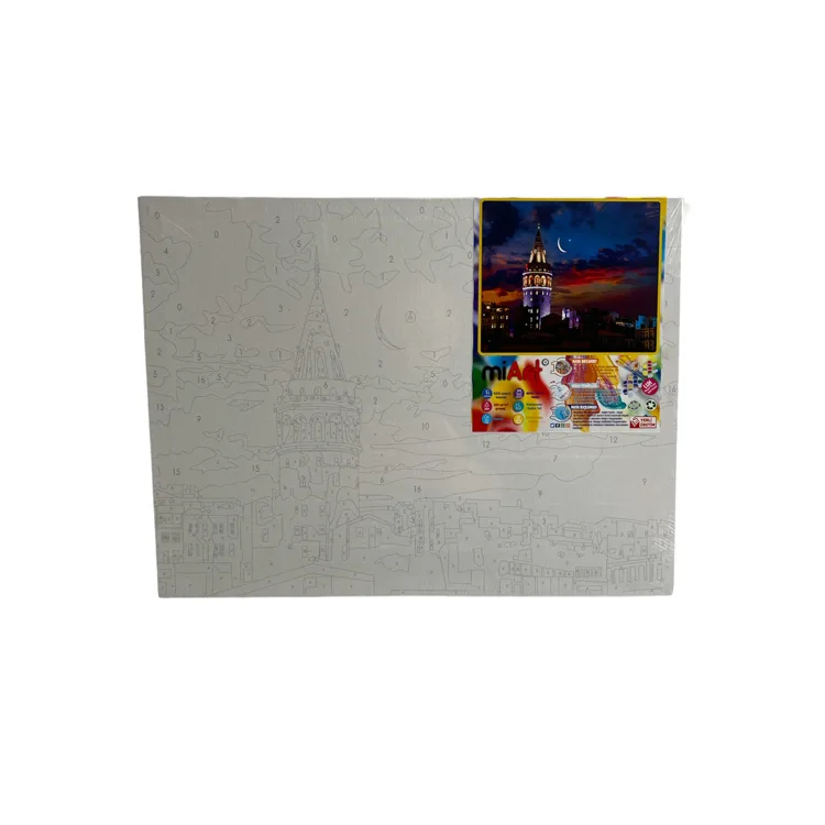 MİART 30X40 SAYILARLA BOYAMA TUVAL - GALATA KULESİ