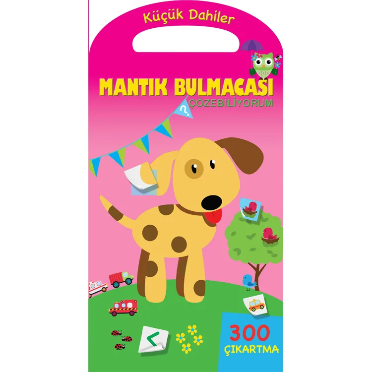 KÜÇÜK DAHİLER - MANTIK BULMACALARI ÇÖZÜYORUM