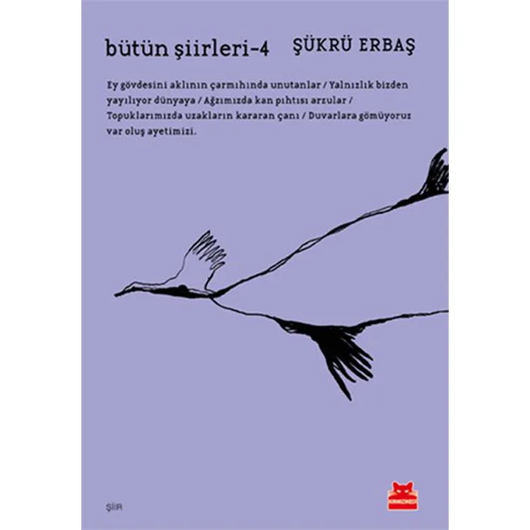BÜTÜN ŞİİRLERİ 4 ŞÜKRÜ ERBAŞ