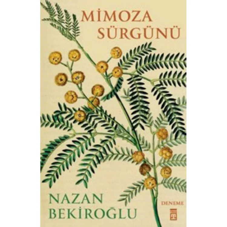 MİMOZA SÜRGÜNÜ