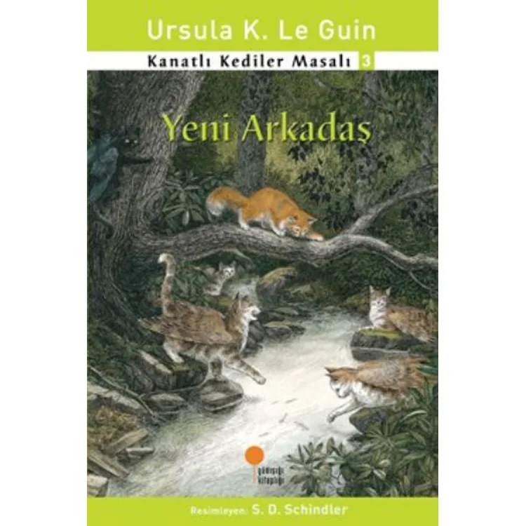 KANATLI KEDİLER MASALI 3 - YENİ ARKADAŞ