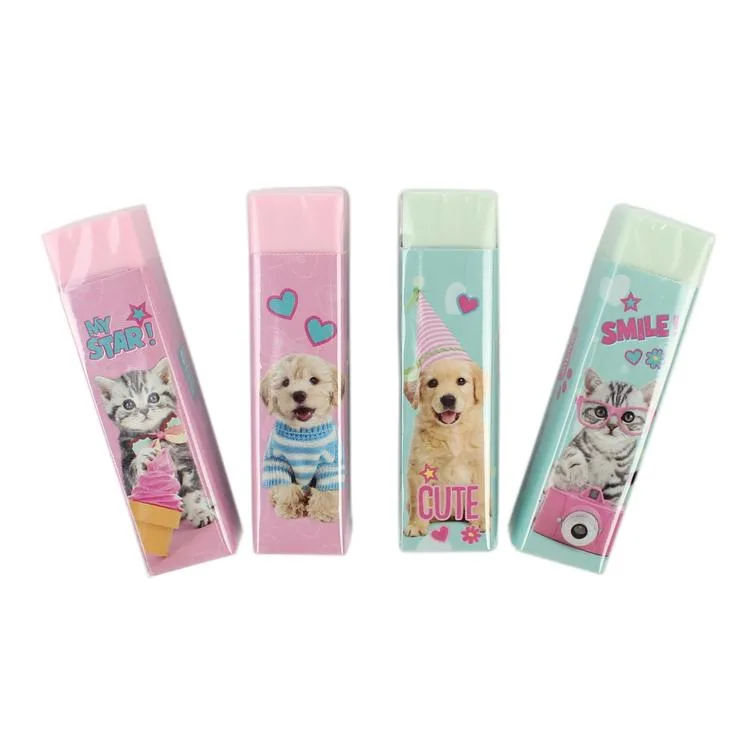 CEM STUDIO PETS PT-9627 RENKLİ SİLGİ