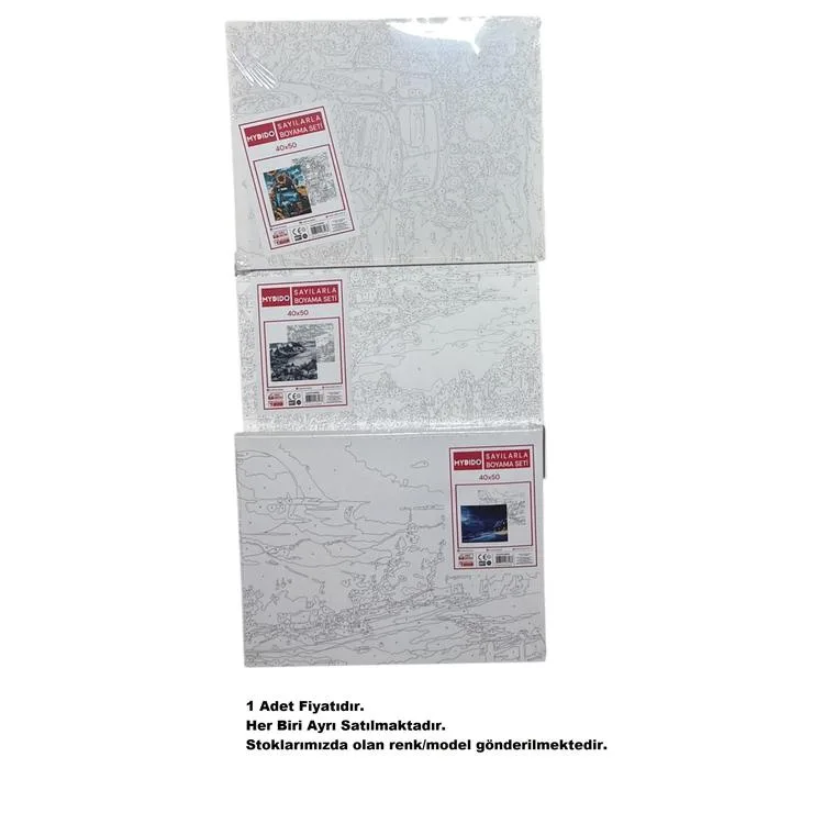 MYDİDO MYT4050SB 40X50CM SAYILARLA BOYAMA TUVAL SETİ - TEKLİ