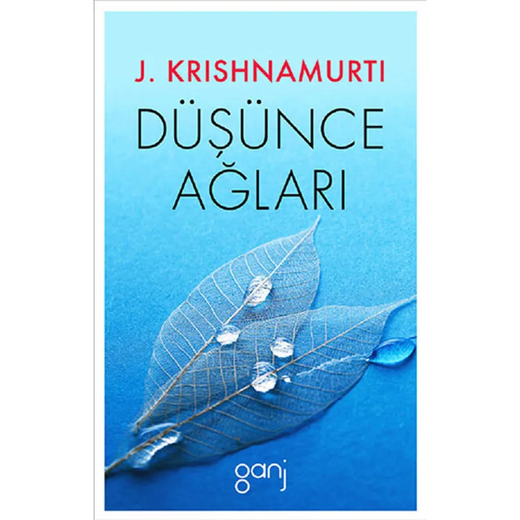 DÜŞÜNCE AĞLARI