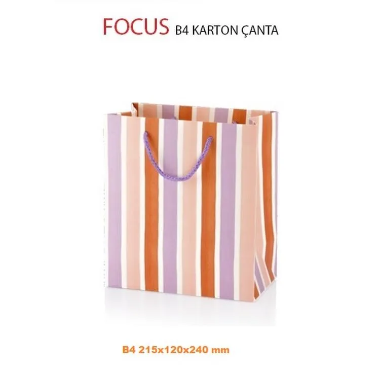 GIPTA B4 FOCUS HEDİYELİK KARTON ÇANTA BG2848