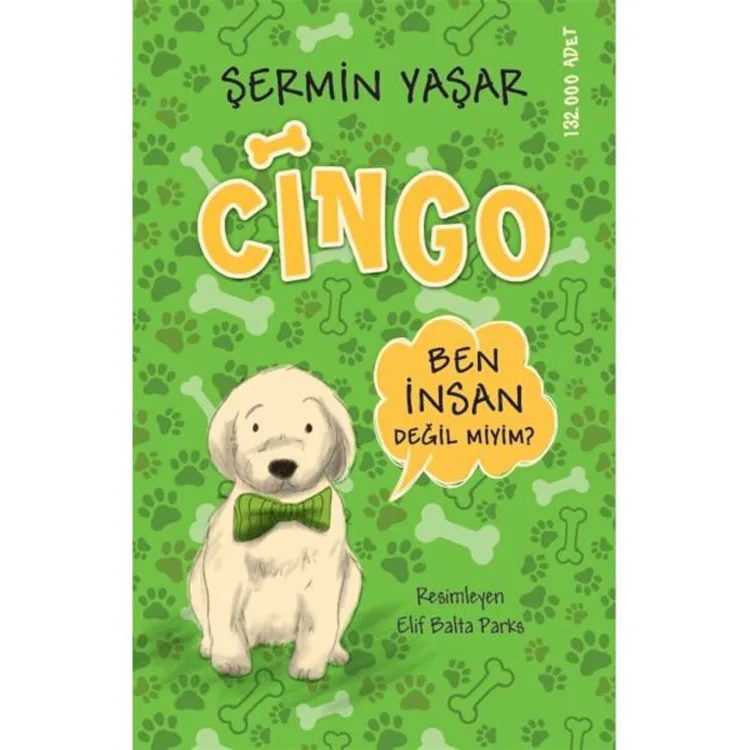 CİNGO