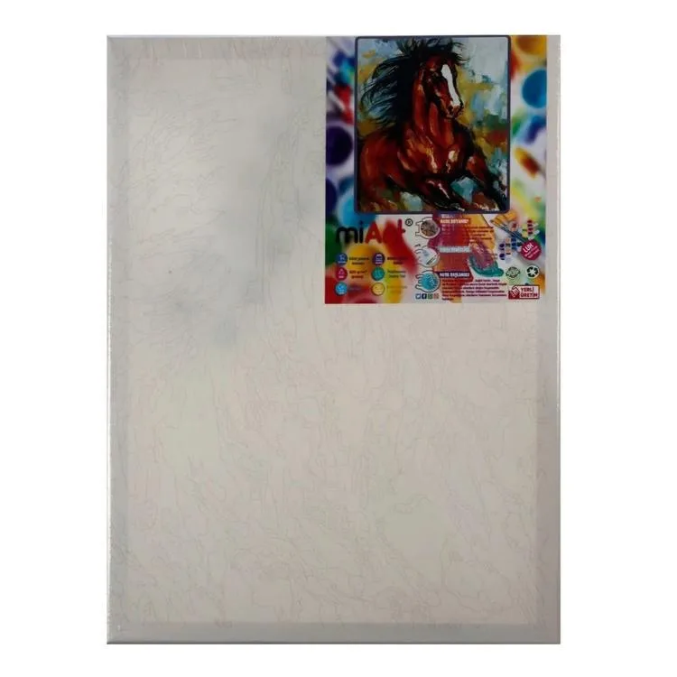 MİART 30X40 SAYILARLA BOYAMA TUVAL - AT