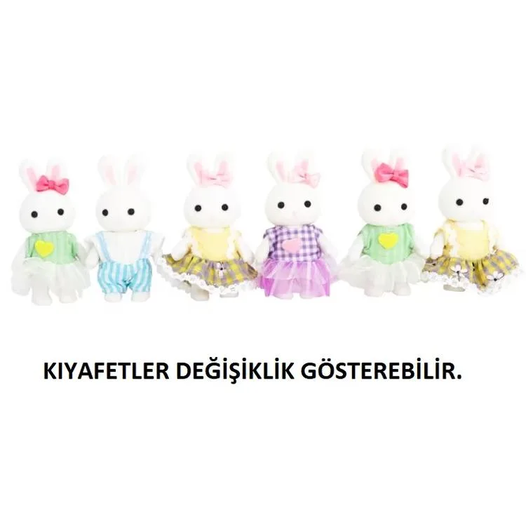 MEGA 6621-8 BAY DREAMY MINI AKSESUARLI PET DOĞUM GÜNÜ KEK SETİ 3+