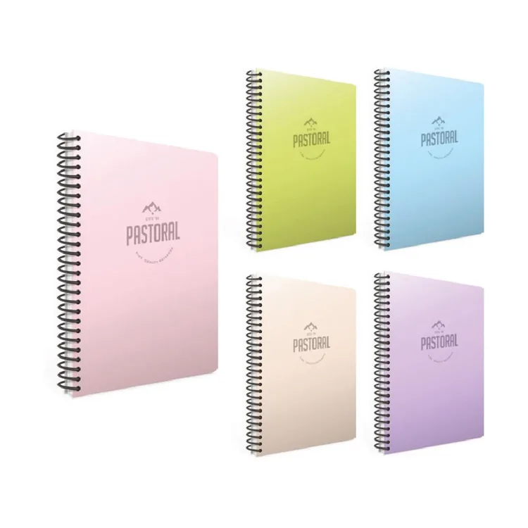GIPTA PASTORAL SPİRALLİ PP.KAPAK A4 120 YP. KARELİ DEFTER