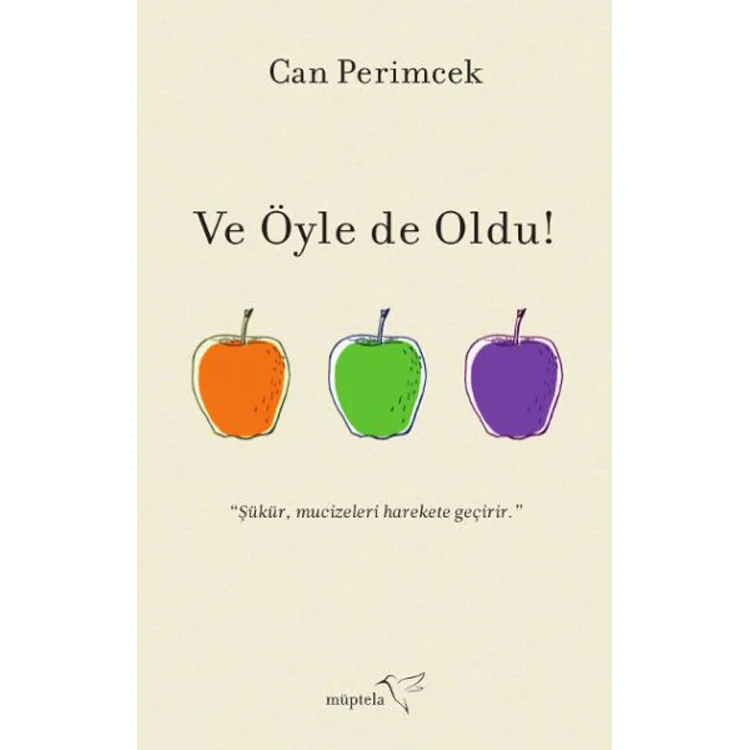 VE ÖYLE DE OLDU