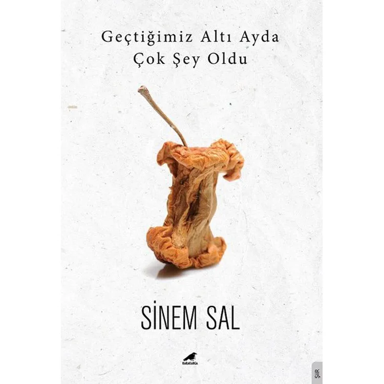 GEÇTİĞİMİZ ALTI AYDA ÇOK ŞEY OLDU