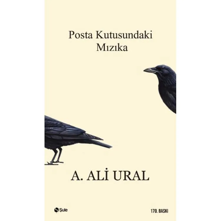 POSTA KUTUSUNDAKİ MIZIKA