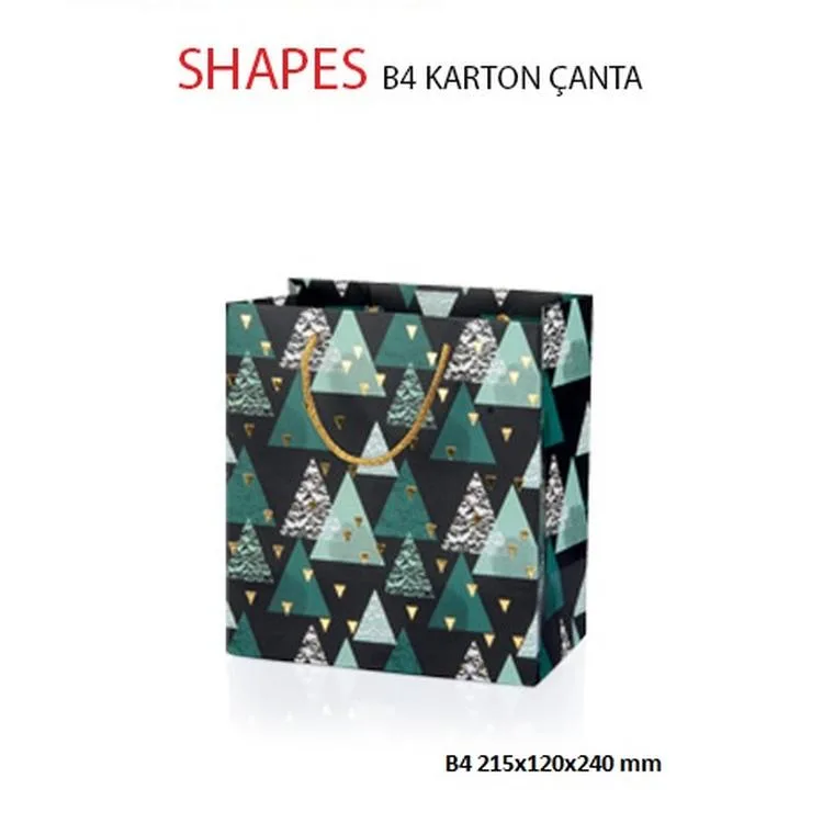 GIPTA B4 SHAPES HEDİYELİK KARTON ÇANTA BG2627