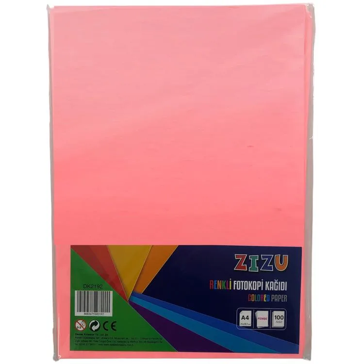 ZİZU DK2192 RENKLİ FOTOKOPİ KAĞIDI A4 100'LÜ - PEMBE