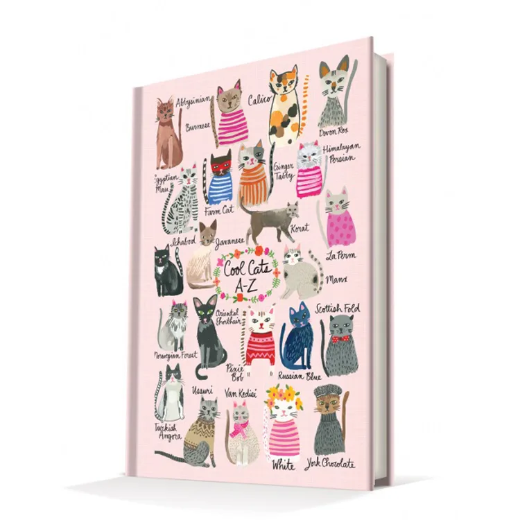 DEFFTER 14X20 SUMMER CATS / COOL CATS SERT KAPAK ÇİZGİLİ DEFTER 96 YP