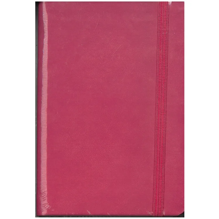 LİZY 10X14 RENKLİ THERMO EKONOMİK LASTİKLİ DEFTER
