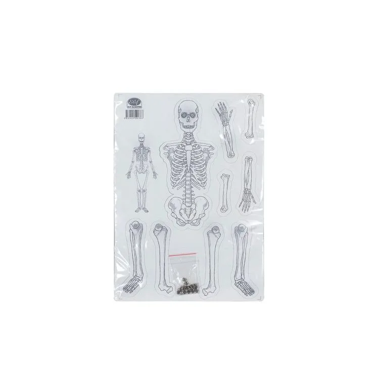 MİSYON ST08007 İSKELET SİSTEMİ MODEL YAPIM SETİ A4