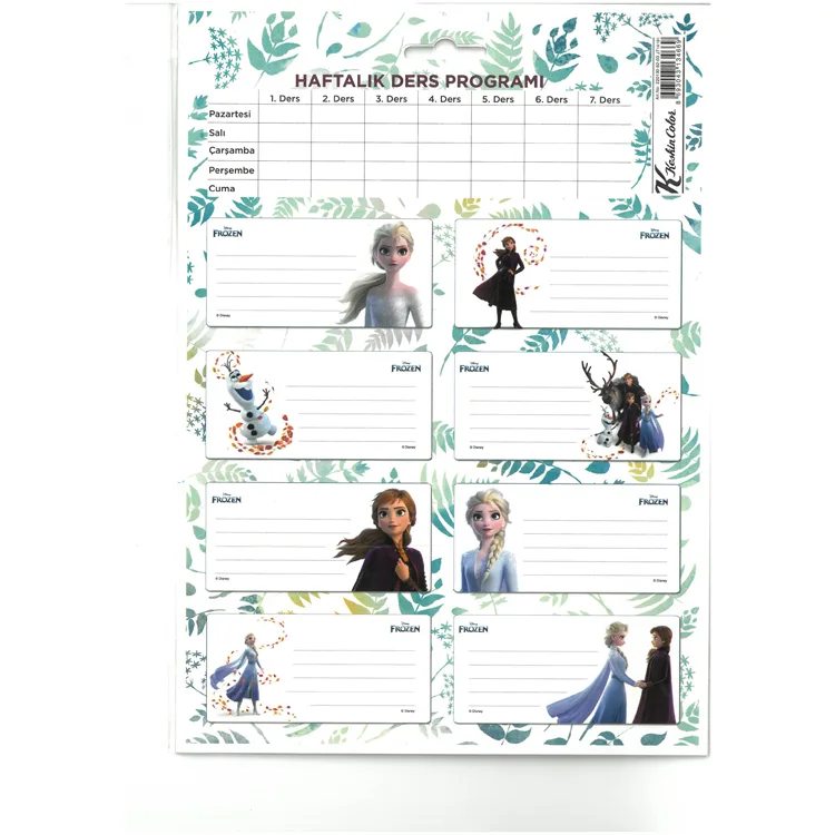 KESKİN 220130 FROZEN II DERS PROGRAMLI OKUL ETİKETİ 3'LÜ