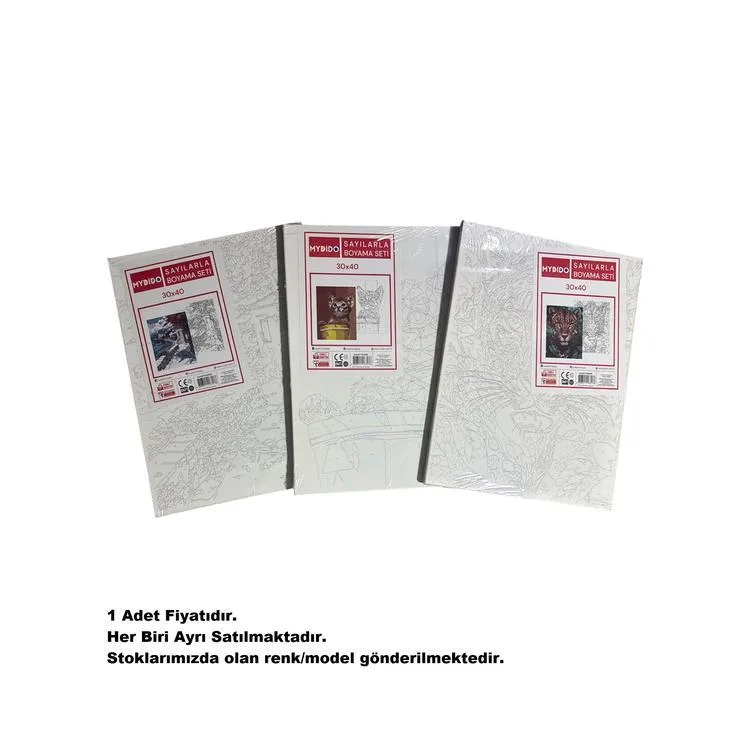 MYDİDO MYT3040SB 30X40CM SAYILARLA BOYAMA TUVAL SETİ - TEKLİ