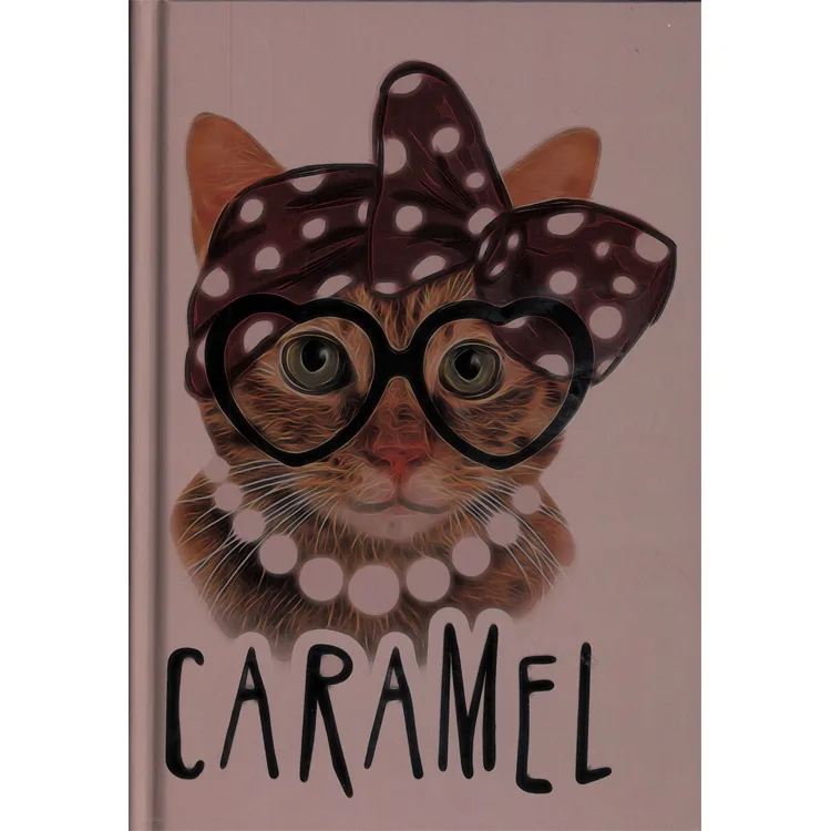 DEFFTER ANIMALS / CARAMEL SERT KAPAK A5 ÇİZGİLİ DEFTER 96 YP