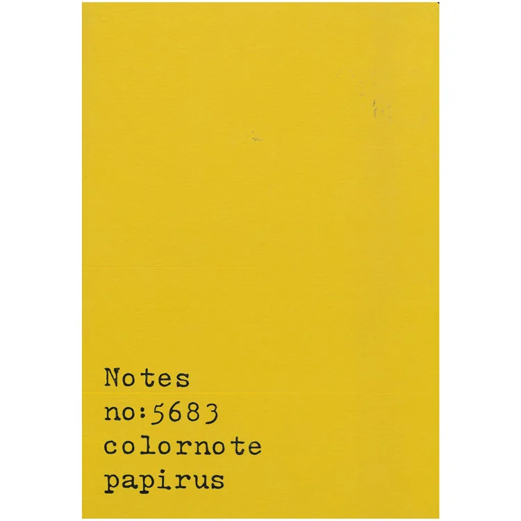 PAPİRÜS NOTES TERZİ DİKİŞ KARTON KAPAK 16X23 56YP. ÇİZGİLİ DEFTER