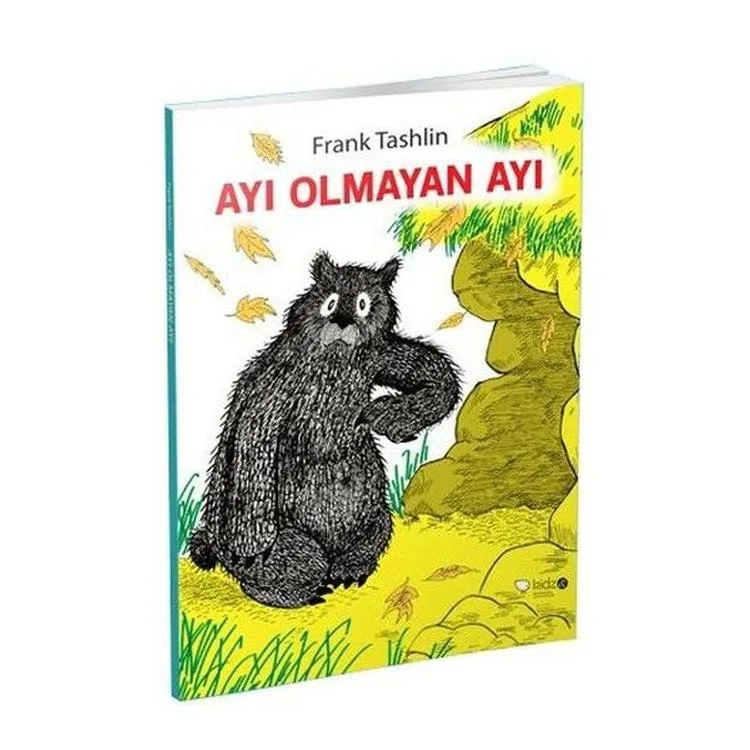 AYI OLMAYAN AYI