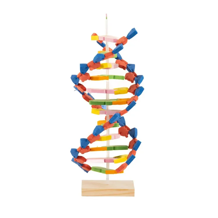 KAR EĞİTİM DNA MODELİ YAPIM SETİ