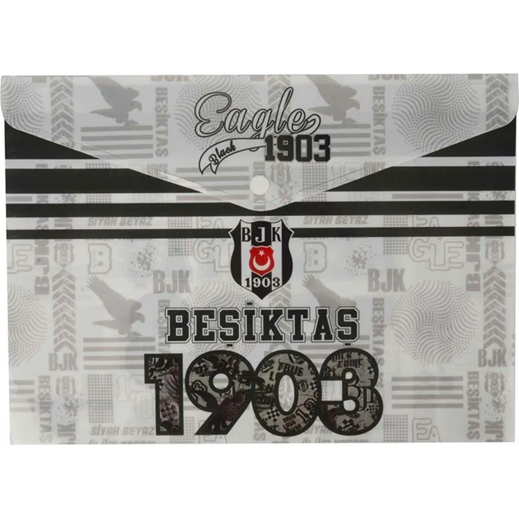 TMN DOS-1903 BEŞİKTAŞ ÇITÇITLI DOSYA 464501