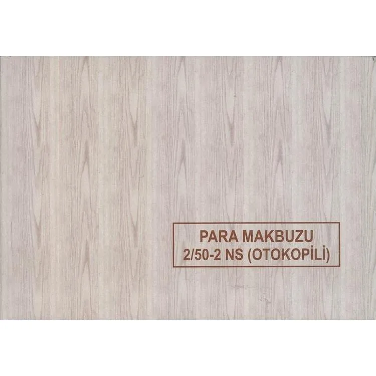 DİLMAN PARA MAKBUZU OTOKOPİLİ (2/50-2 NS)