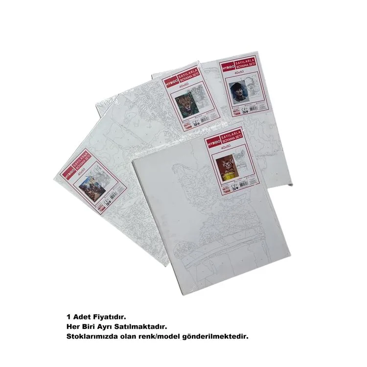 MYDİDO MYT4050SB 40X50CM SAYILARLA BOYAMA TUVAL SETİ - TEKLİ