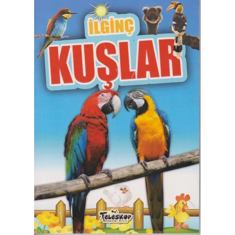 İLGİNÇ BİLGİLER SERİSİ - İLGİNÇ KUŞLAR