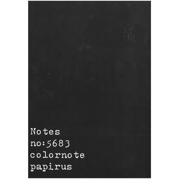 PAPİRÜS NOTES TERZİ DİKİŞ KARTON KAPAK 16X23 56YP. ÇİZGİSİZ DEFTER