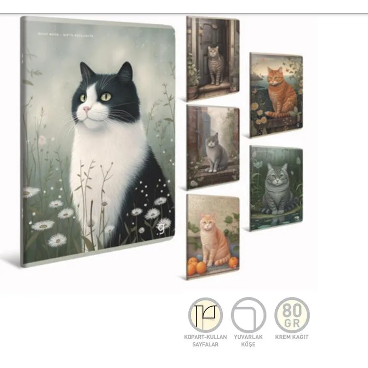 GIPTA ECHO BOOK 13X18 TEL DİKİŞ KARTON KAPAK 60YP. ÇİZGİLİ DEFTERİ - 7288