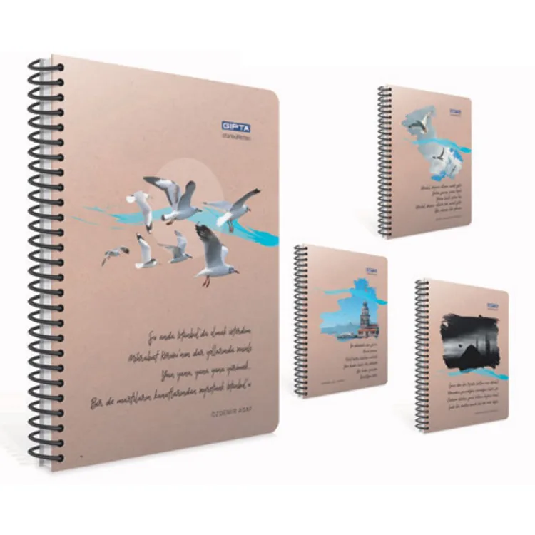 GIPTA İSTANBUL NOTLARI SPİRALLİ SERT KAPAK 17x24 120YP. ÇİZGİLİ DEFTER