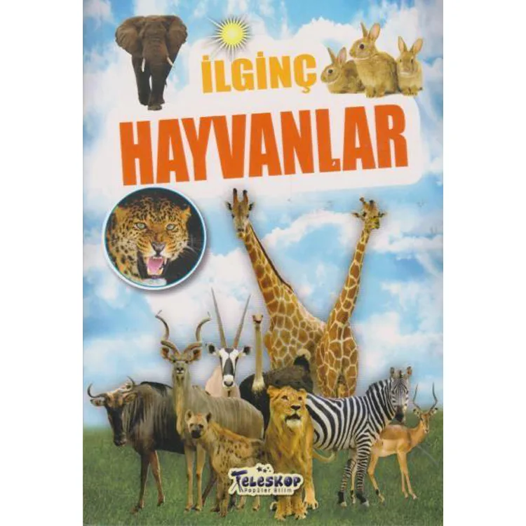İLGİNÇ BİLGİLER SERİSİ - İLGİNÇ HAYVANLAR
