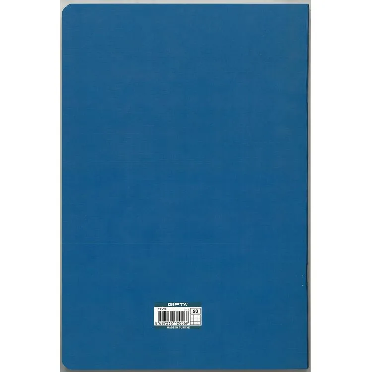 GIPTA ART MASTER 17X24 TEL DİKİŞLİ KARTON KAPAK 60 YP KARELİ DEFTER 3665 - TEKLİ