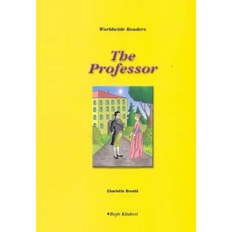 LEVEL-6: THE PROFESSOR