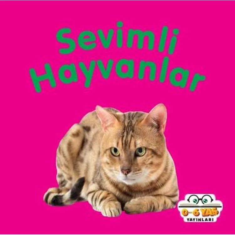 SEVİMLİ HAYVANLAR - MİNİ KARTON KİTAPLAR