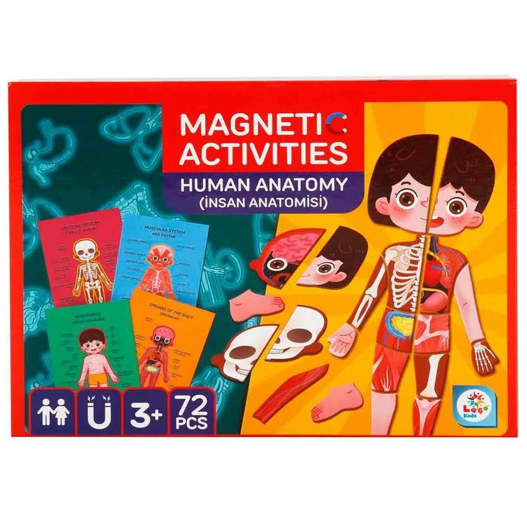 LAÇO KIDS LC7986 MANYETİK AKTİVİTE İNSAN ANATOMİSİ 72 PARÇA 3+
