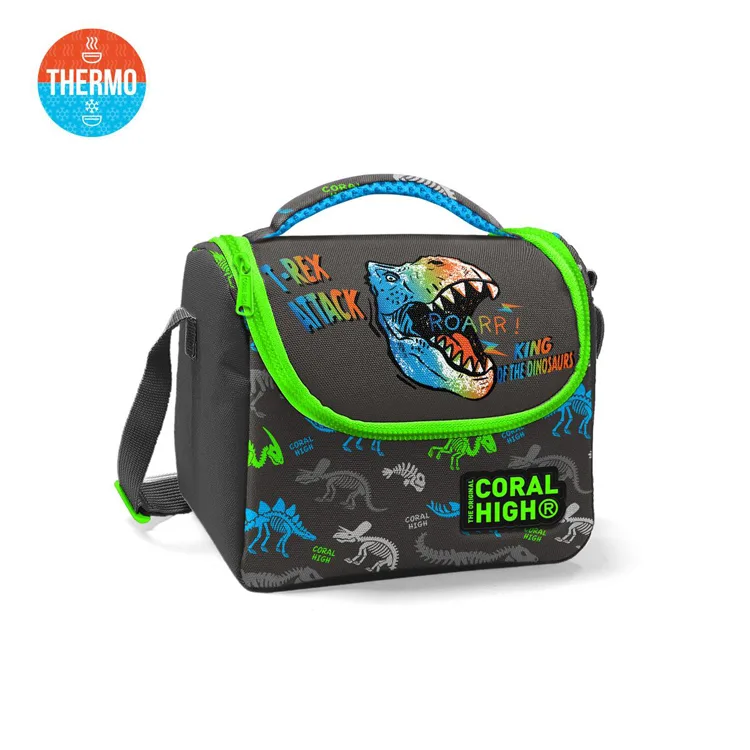 CORAL HIGH 11864 GRİ DİNOZOR DESENLİ BESLENME ÇANTASI