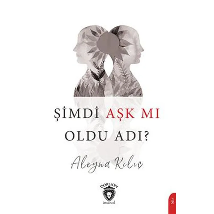 ŞİMDİ AŞK MI OLDU ADI ?