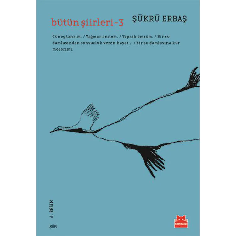 BÜTÜN ŞİİRLERİ 3